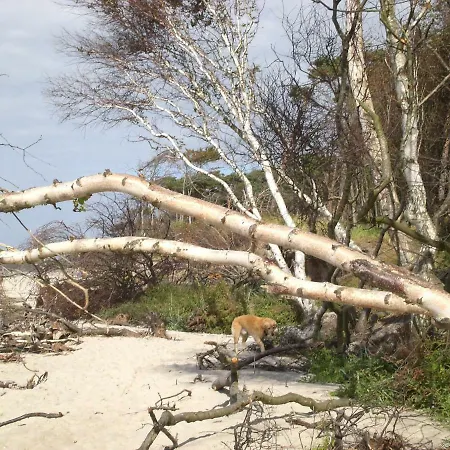 And Mehr Appartamento Zingst